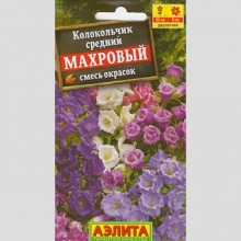 Колокольчик Махровый смесь окрасок