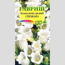 Колокольчик Снежана средний