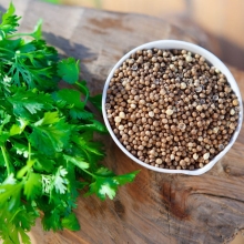 Кориандр Алексеевский 190