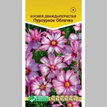 Космея Пурпурное облачко дваждыперистая