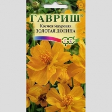 Космея Золотая долина