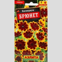 Космидиум Брюнет