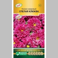 Космос Спелая клюква махровый