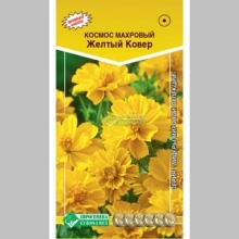 Космос Желтый Ковер махровый