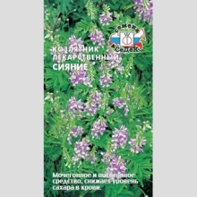 Козлятник Сияние лекарственный