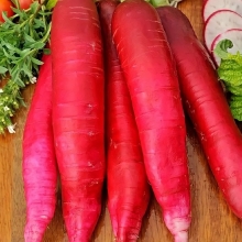 Редис Красный Великан (Лидер)
