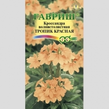 Кроссандра Тропик красная