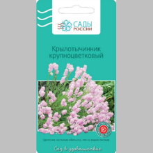 Крылотычинник крупноцветковый