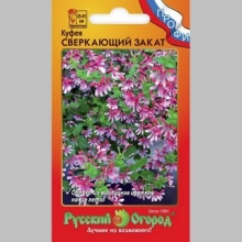 Куфея Сверкающий закат