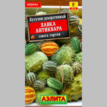 Кукумис декоративный Лавка антиквара смесь сортов