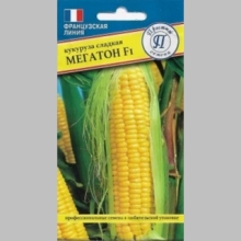 Кукуруза Мегатон F1