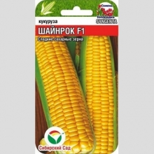 Кукуруза Шайнрок F1