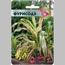 Кукуруза Фурисодэ японская декоративная