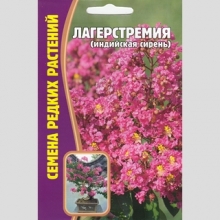 Лагерстремия (индийская сирень) (большой пакет)