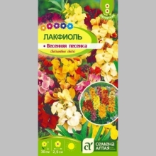 Лакфиоль Весенняя песенка