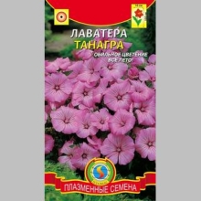 Лаватера Танагра