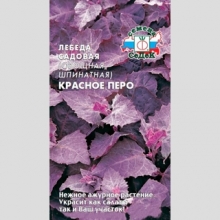 Лебеда Красное перо (шпинатная)