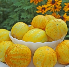 Огурец-Лимон Хрустальное Яблоко (большой пакет)