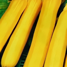 Кабачок Лимонадный Джо