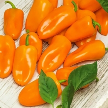 Перец Лисичка оранжевая