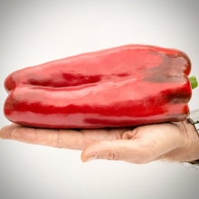 Перец Ливадия F1