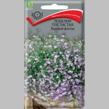 Лобелия Лиловый фонтан (плетистая)