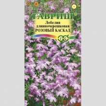 Лобелия Розовый каскад ампельная