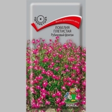 Лобелия Рубиновый фонтан плетистая