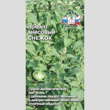 Лофант анисовый Снежок