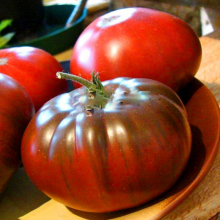 Томат Черный русский