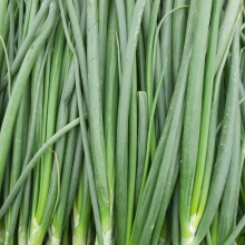 Лук Харукиока батун