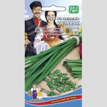 Лук Казачок (кявар) на зелень