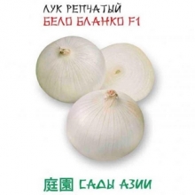 Лук Бело Бланко F1 репчатый