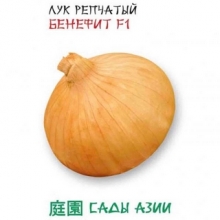 Лук Бенефит F1 репчатый