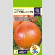 Лук Чипполино репчатый