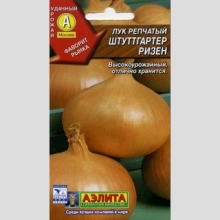 Лук Штуттгартер ризен (репчатый)