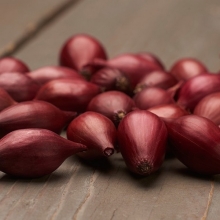 Лук Семьянин (шалот)