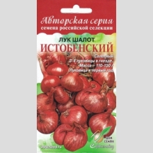 Лук Истобенский шалот