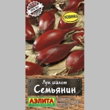 Лук Семьянин (шалот)