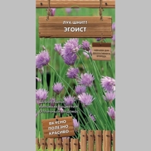 Лук Эгоист шнитт