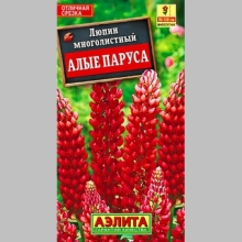 Люпин Алые паруса