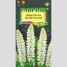 Люпин Белое пламя
