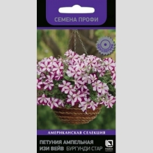 Петуния Изи Вейв F1 Бургунди Стар (Семена Профи)