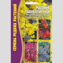 Магония Падуболистная (большой пакет)