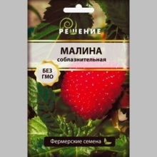 Малина Соблазнительная (большой пакет)