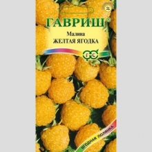 Малина Желтая ягодка