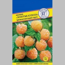 Малина Золотые купола ремонтантная