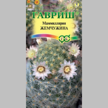 Маммиллярия Жемчужина (шейдвелардиана)