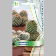 Маммилярия Смесь видов