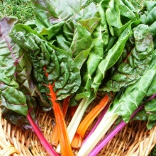 Мангольд Весенняя радуга смесь